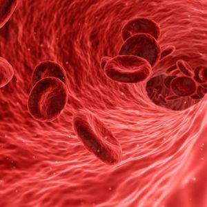 Rote Blutzellen - werden in der Nährstoffpraxis untersucht, um gesunde Zellen zu erhalten