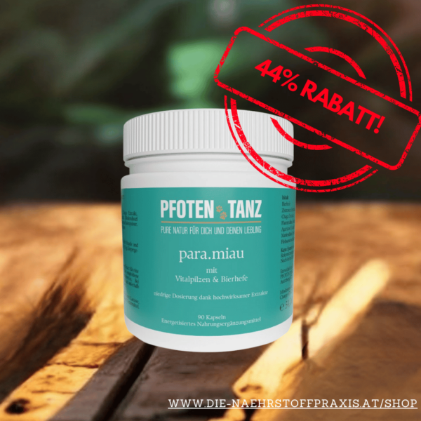 para.miau 90 Kapseln - PFOTENTANZ