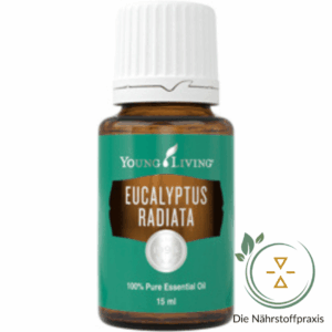 Eucalyptus Radiata Young Living