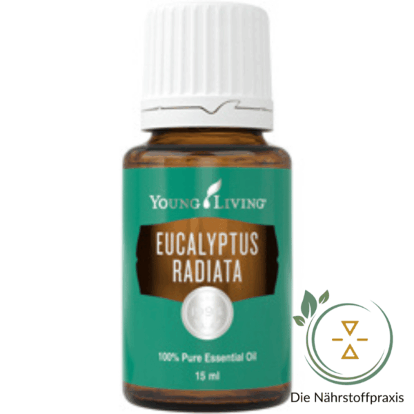 Eucalyptus Radiata Young Living